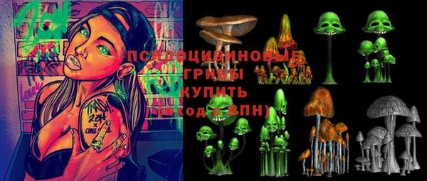 герыч Кодинск