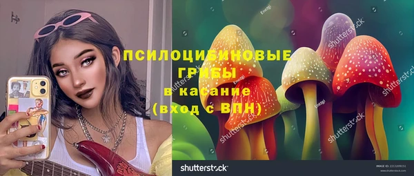 a pvp Козловка