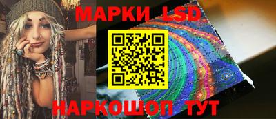 индика Дубна