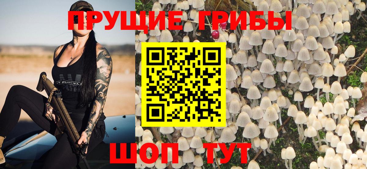 Псилоцибиновые грибы Magic Shrooms  Вход с VPN  Дзержинский 