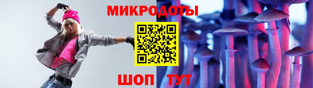 Псилоцибиновые грибы Cubensis Дзержинский